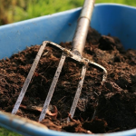 Ako spraviť kompost na záhrade