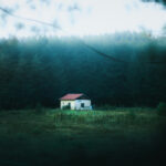 Môže sa príroda vrátiť do nášho bývania? Môže!